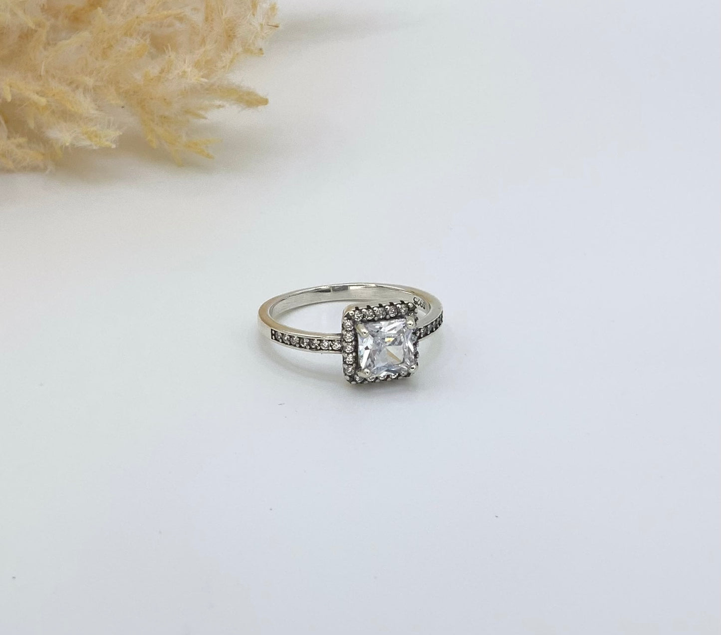 Charlotte Ring