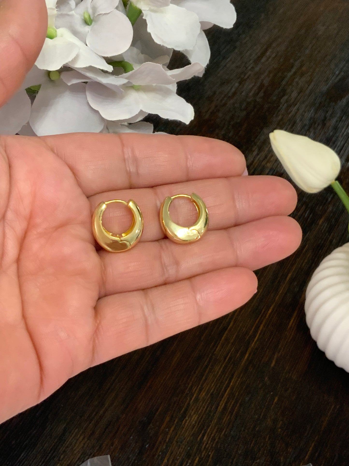 Alba Hoops Earrings Sterling Silver 925