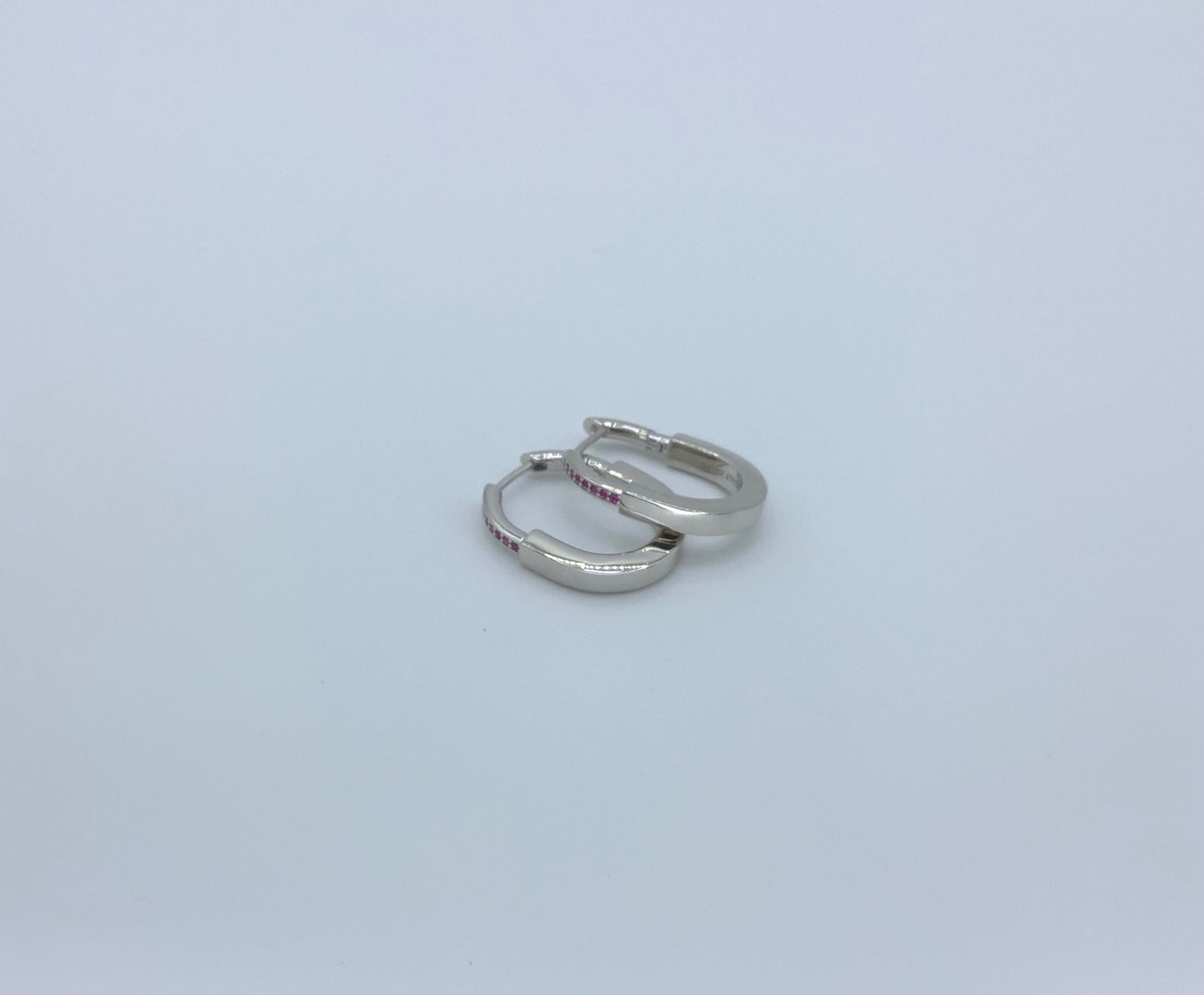Dani Hoops
