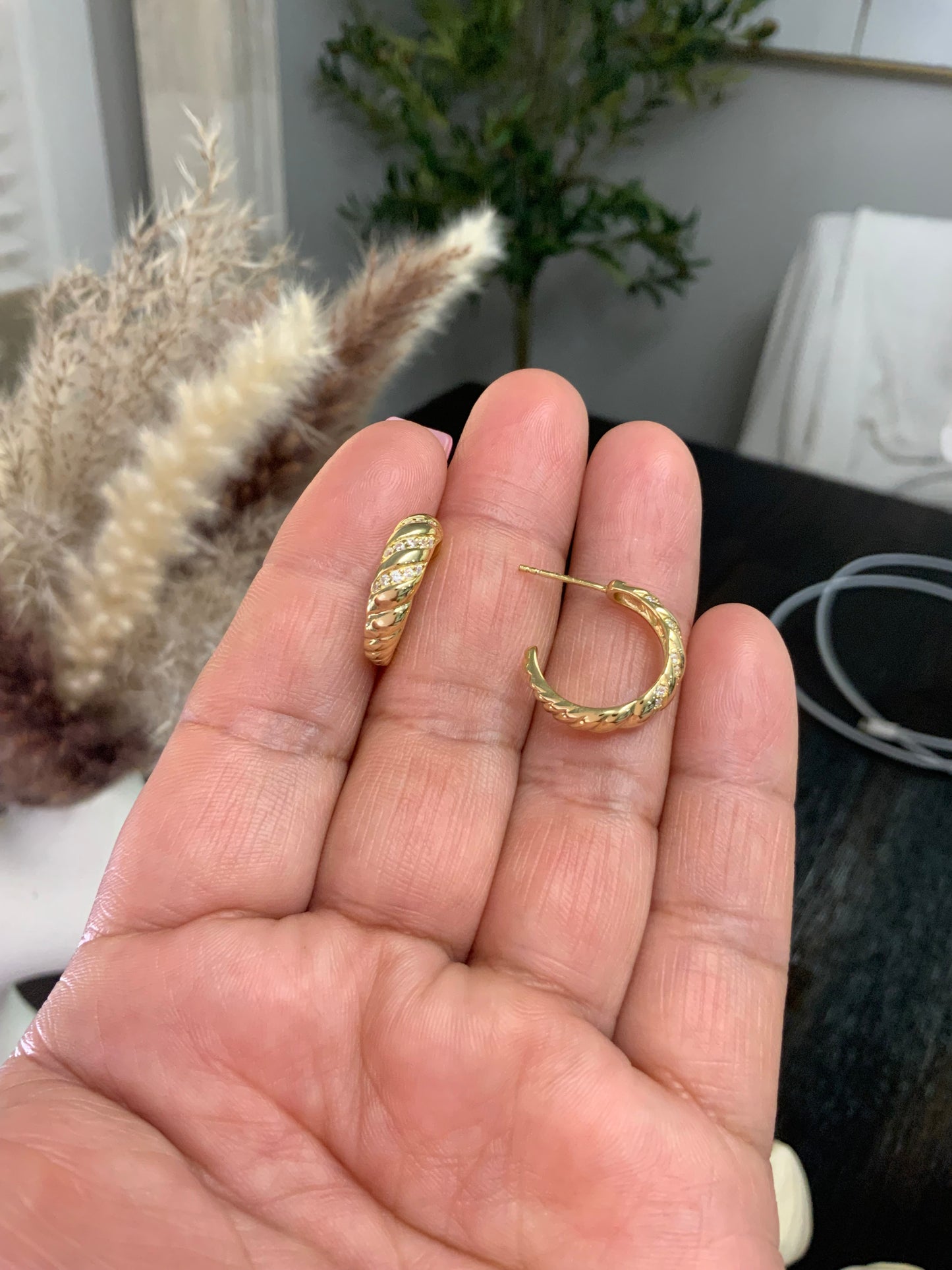 Roma  Hoops Earrings Sterling Silver 925