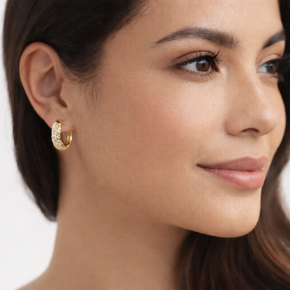 Roma  Hoops Earrings Sterling Silver 925