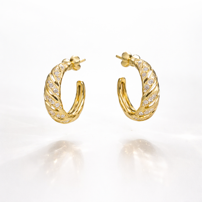 Roma  Hoops Earrings Sterling Silver 925